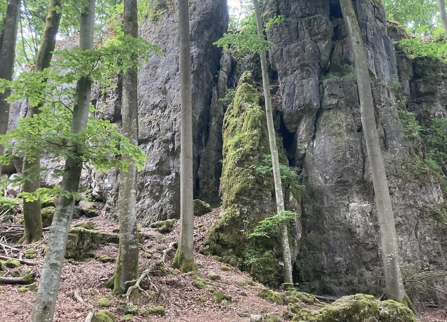 Brunnerhof Urlaub Auf Dem Land Διαμέρισμα Hartenstein
